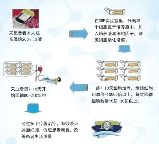 生物免疫质量流程.png